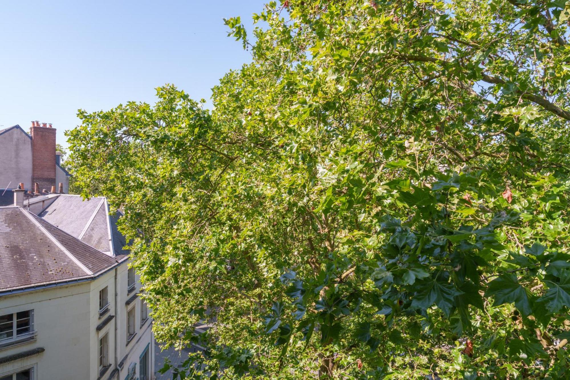 Appartement Tours Centre Avec Parking 4 P エクステリア 写真